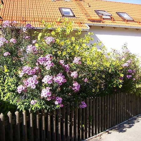 Wiflinger Graben Einfamilienhaus Villa Wörth Eksteriør bilde