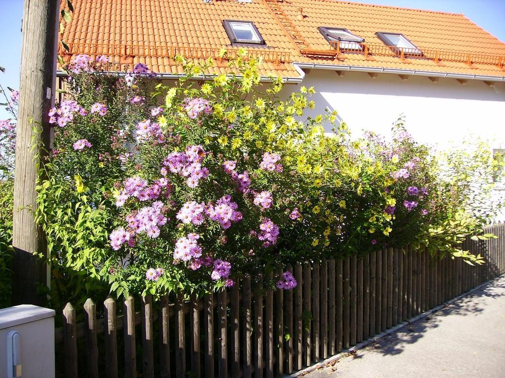 Wiflinger Graben Einfamilienhaus Villa Wörth Eksteriør bilde